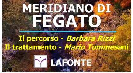 copertina Meridiano di Fegato